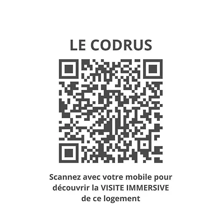 Le Codrus - Dans L'hyper Centre Toulousain *